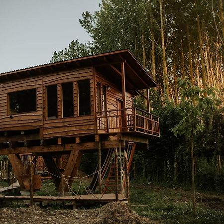 Anguciana Bonita Cabana De Los Arboles En La Rioja , Durmiendo Entre Arboles מראה חיצוני תמונה