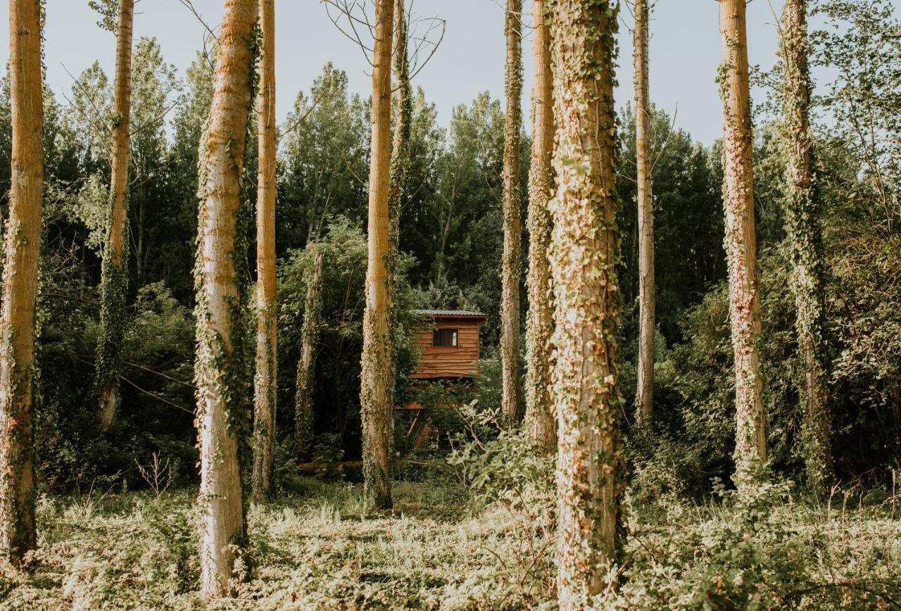 Anguciana Bonita Cabana De Los Arboles En La Rioja , Durmiendo Entre Arboles מראה חיצוני תמונה