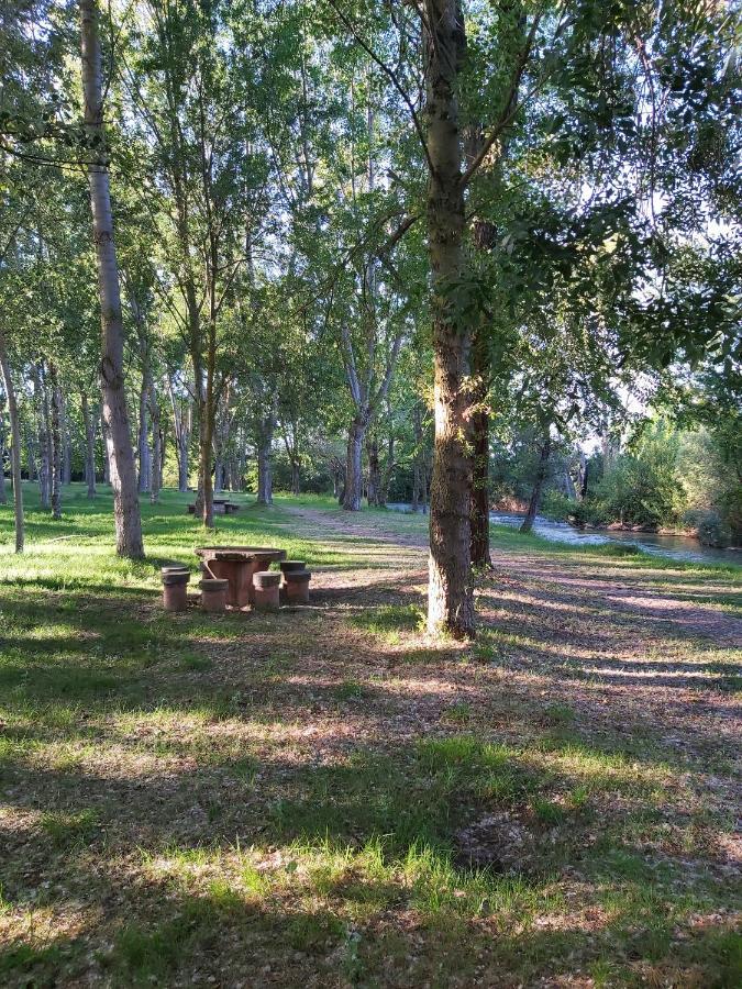 Anguciana Bonita Cabana De Los Arboles En La Rioja , Durmiendo Entre Arboles מראה חיצוני תמונה