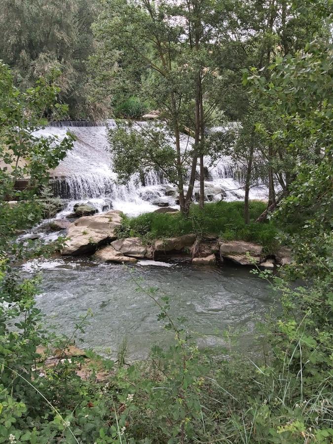 Anguciana Bonita Cabana De Los Arboles En La Rioja , Durmiendo Entre Arboles מראה חיצוני תמונה
